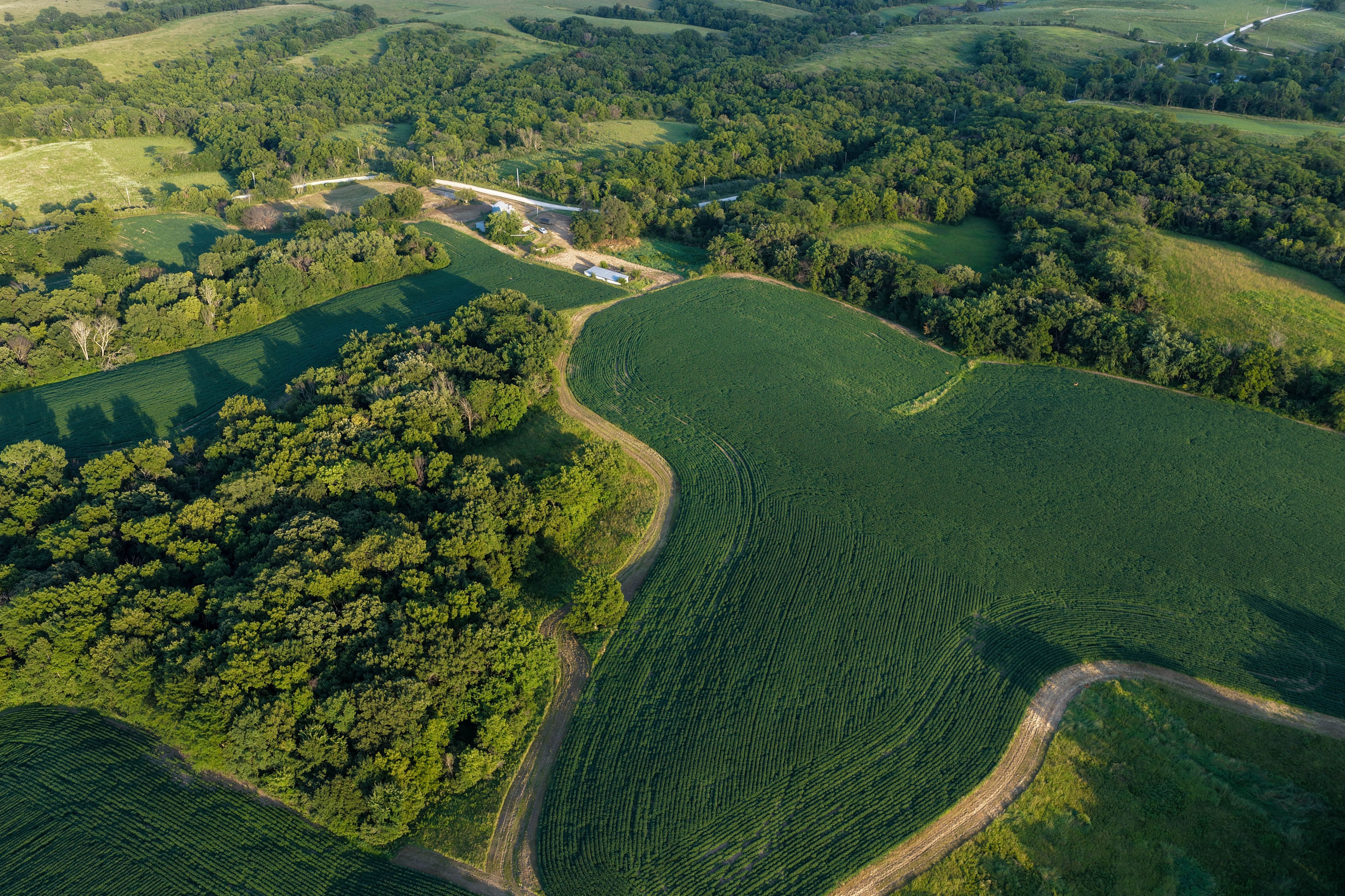 Listing Photo: Whitetail Hunting Farm Mahaska County Iowa-150